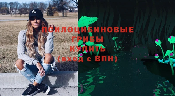 дмт Алексеевка