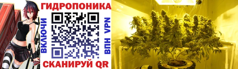 Каннабис Ganja  Удачный 